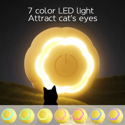 Interactive Pet Ball