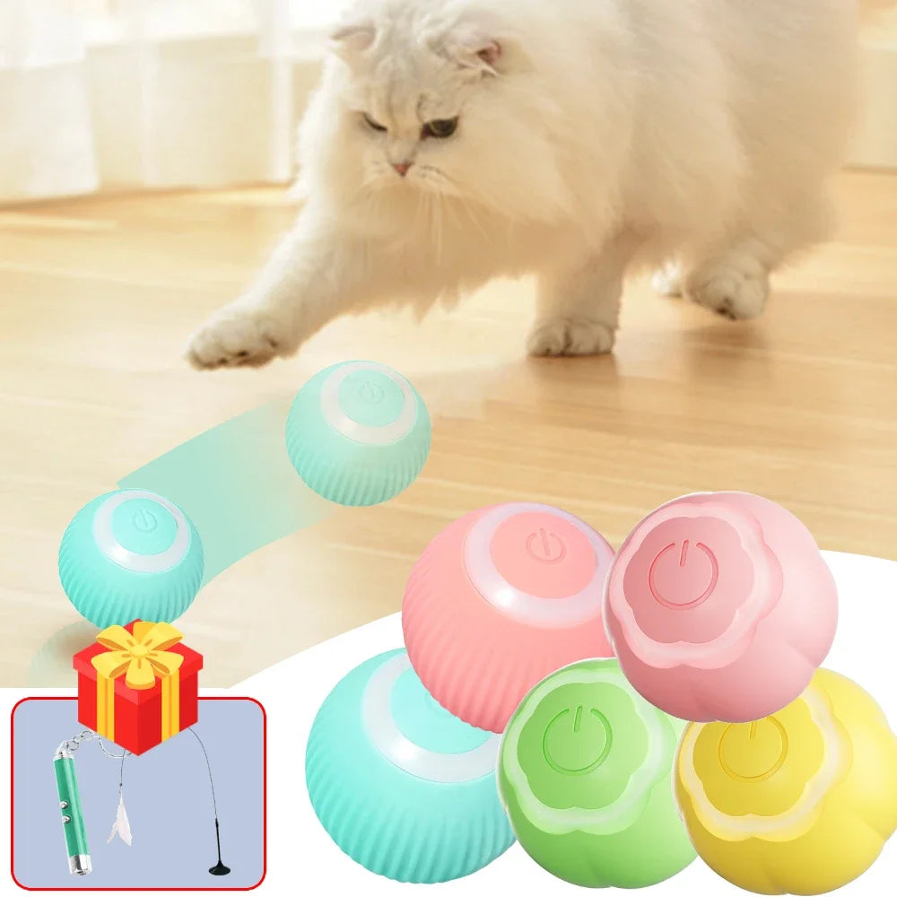 Interactive Pet Ball