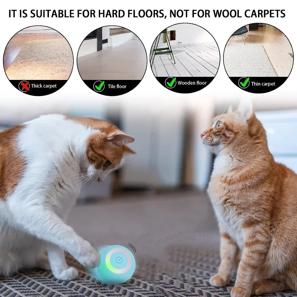 Interactive Pet Ball