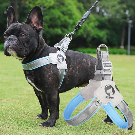 ComfortFit Harness